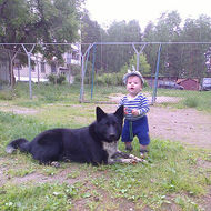 Аватар пользователя