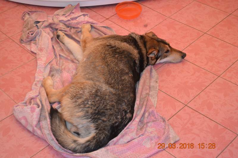 DSC_2868.JPG