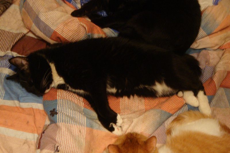 DSC03839 ВАся  28 марта.jpg