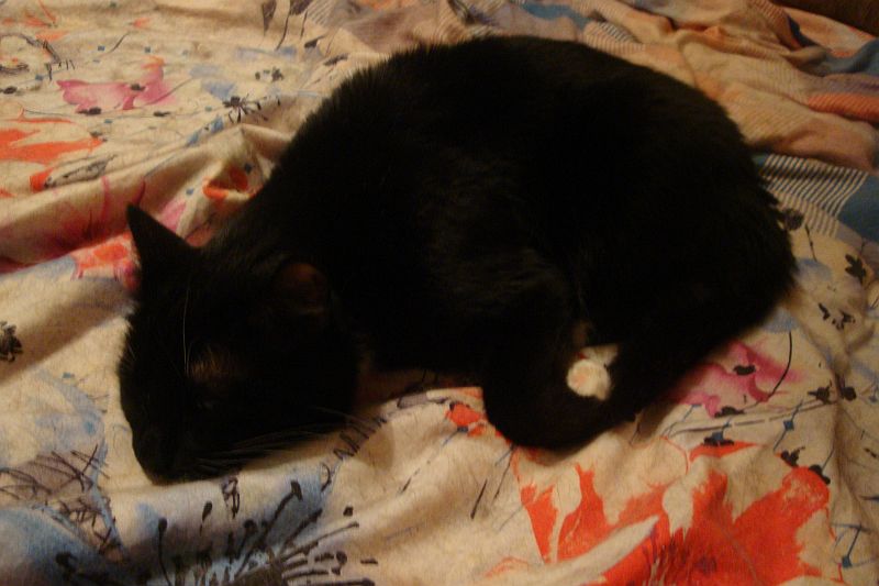 DSC03993 Вася.jpg