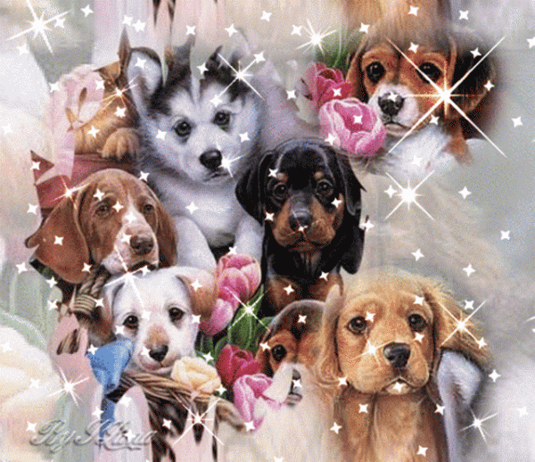 5125919_m-600x518.gif