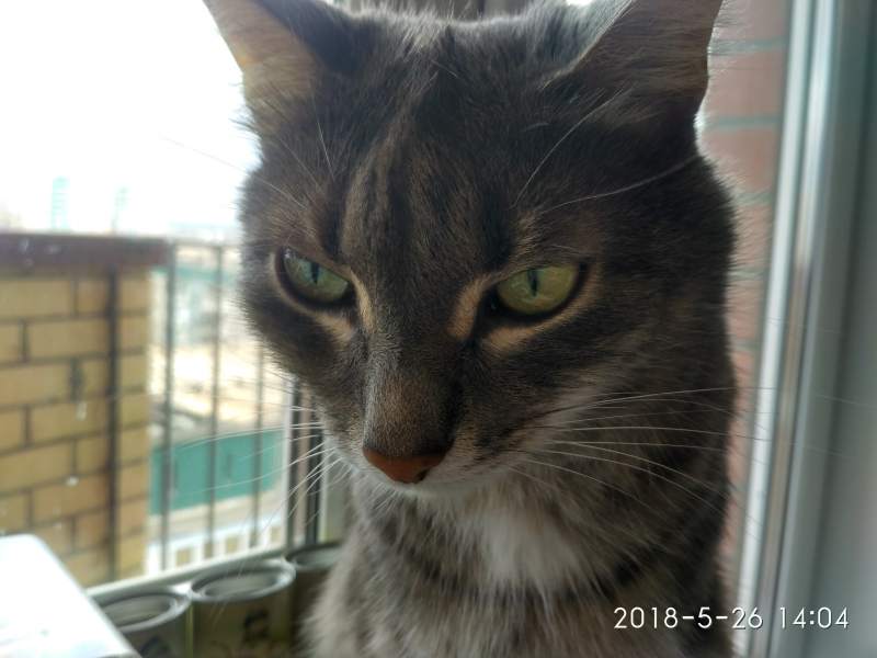 IMG_20180526_140433_HDR.jpg