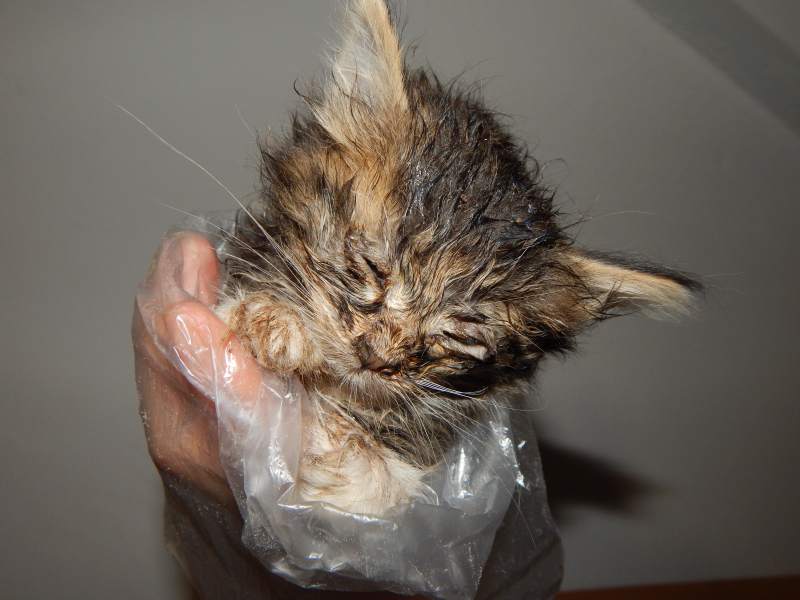 DSCN6337.JPG