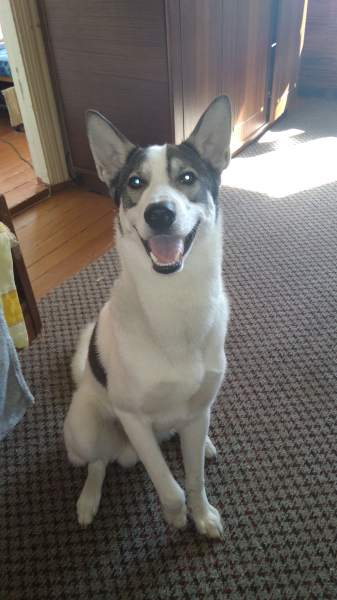IMG-20180621-WA0002.jpeg