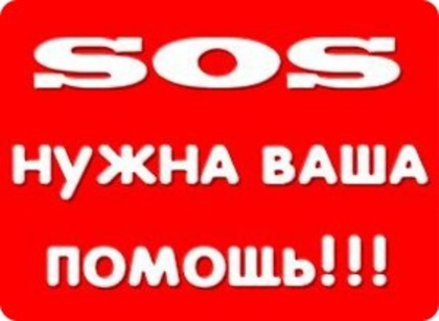 image-11.jpg