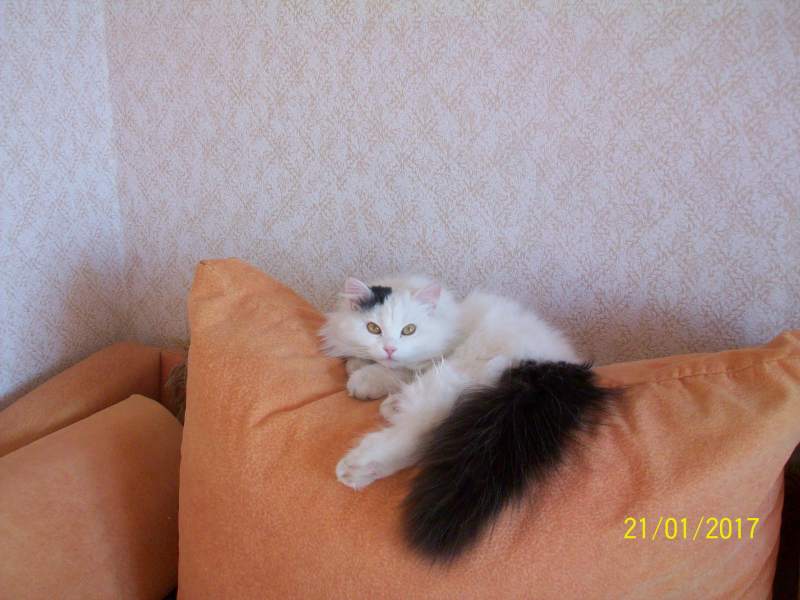 100_4483.JPG
