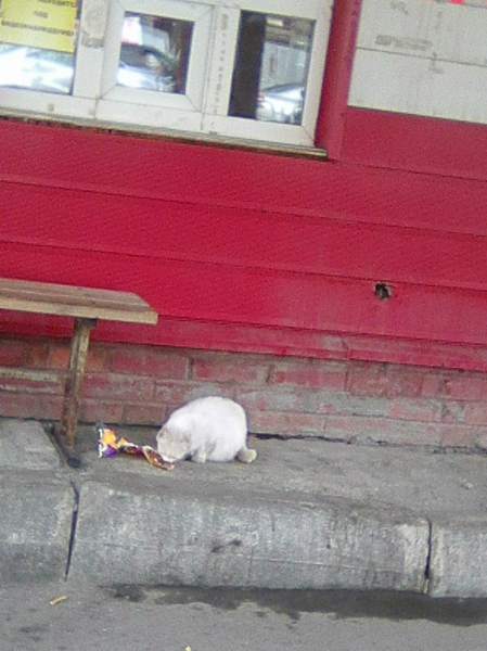 Photo1032.jpg