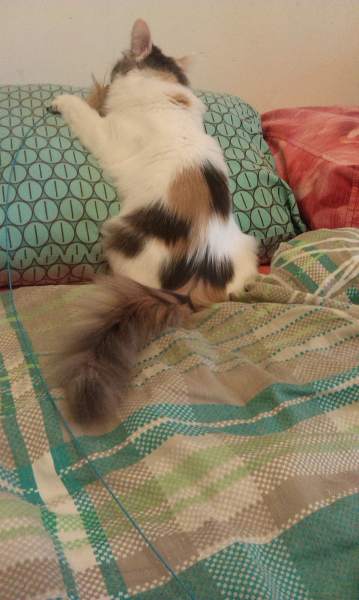 IMAG0936.jpg