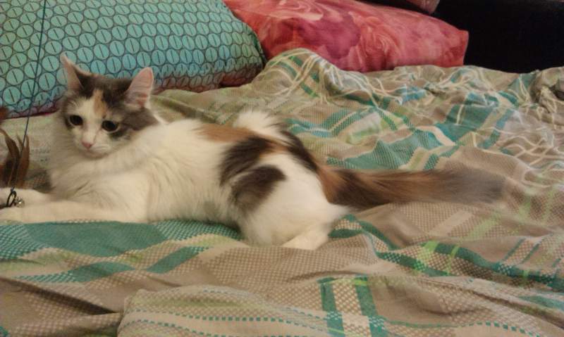 IMAG0931.jpg