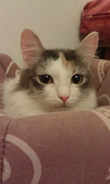 IMAG0809.jpg