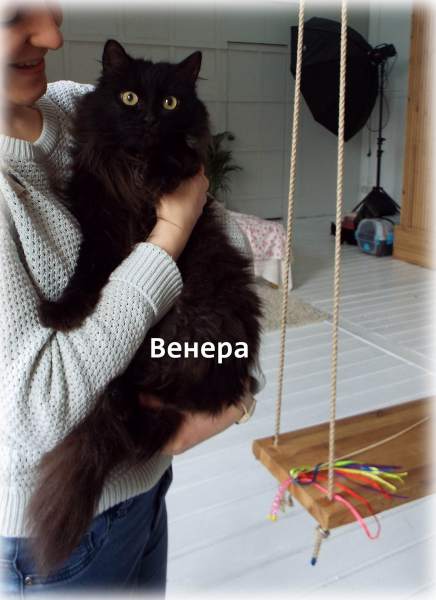 1JBy8DXZxIg.jpg