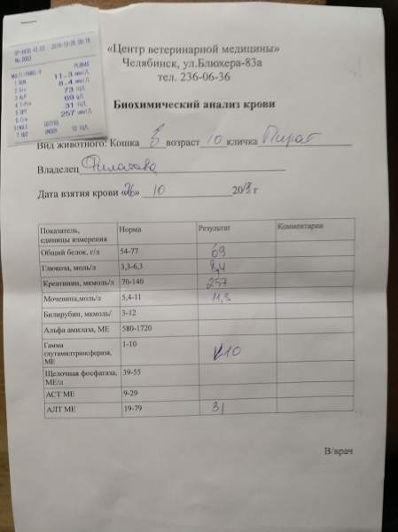 KZoqh3qpt80.jpg