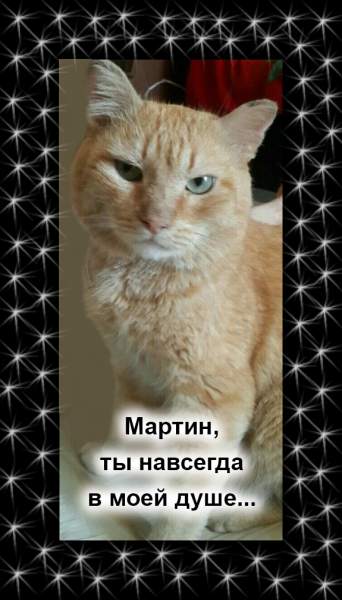 Мартин, ты навсегда в моей душе.jpg