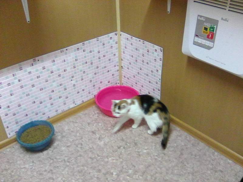 Photo1187.jpg