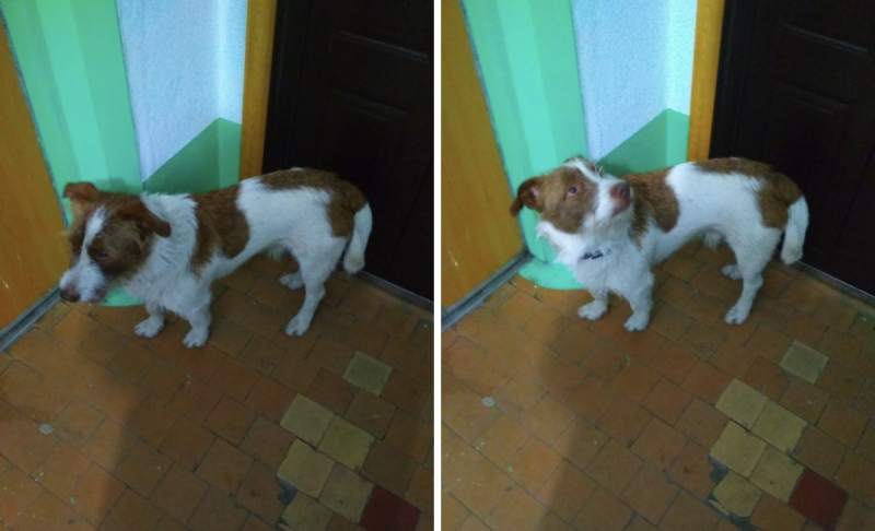 image1.jpeg