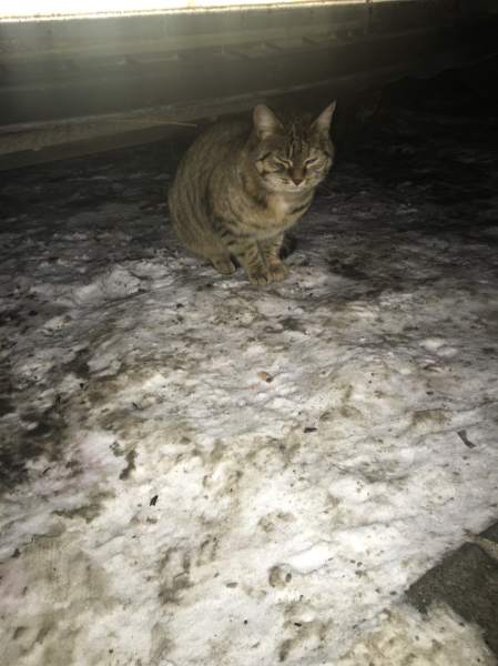 Поворот 723BD422-56A9-4C35-9B96-2E95F97172D9.jpeg