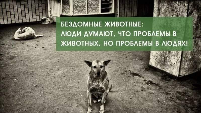 qoMeMvrxfoBYxCs-800x450-noPad.jpg