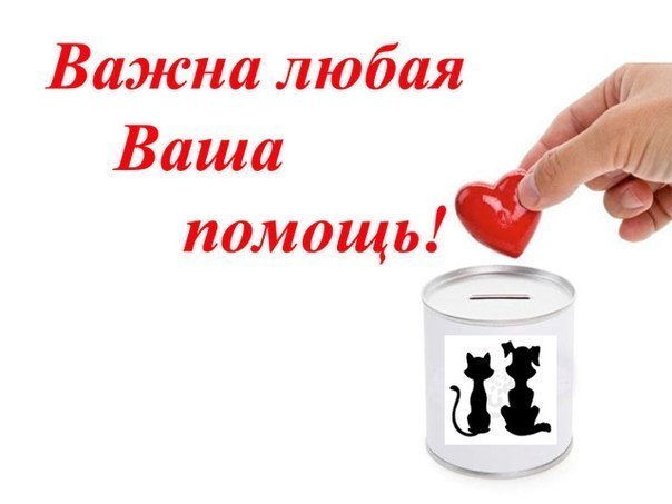 cf136c62f52d5116fc56e313c3d3b9f3.jpg