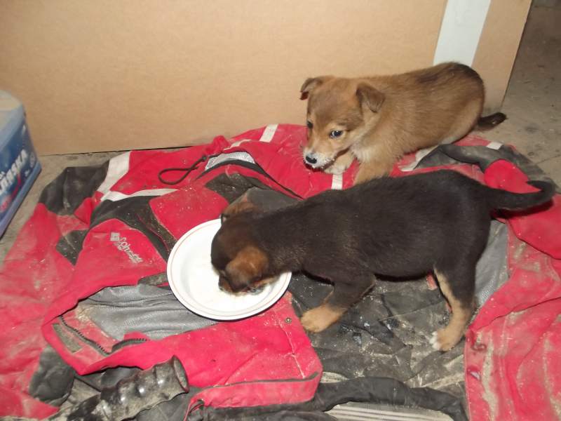 DSCF0778.jpg