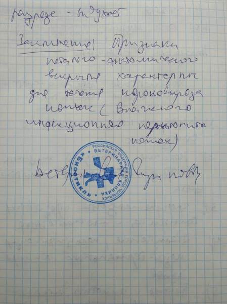 RpdD-ormTiI.jpg