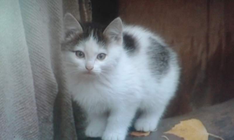 20141015_104316.jpg