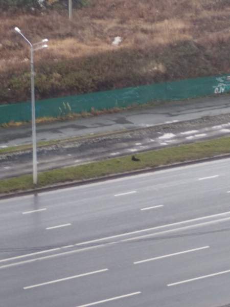 dRcHkuIP85s.jpg