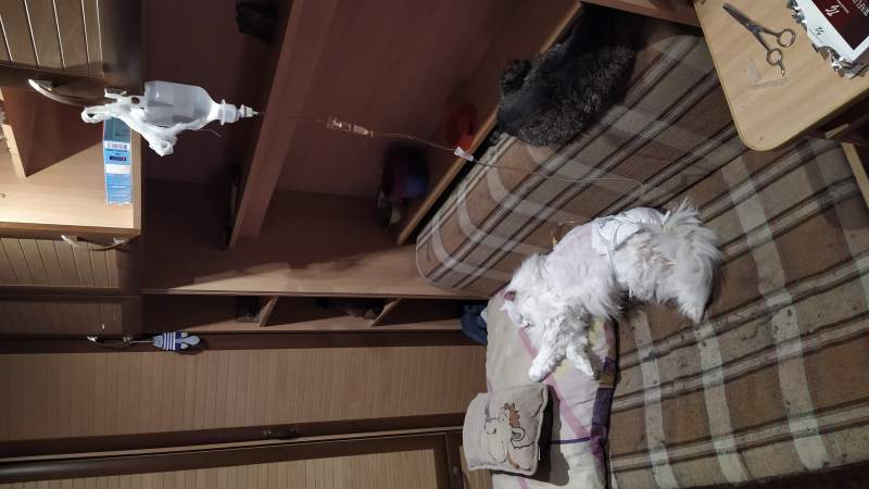 IMG_20200212_222736.jpg