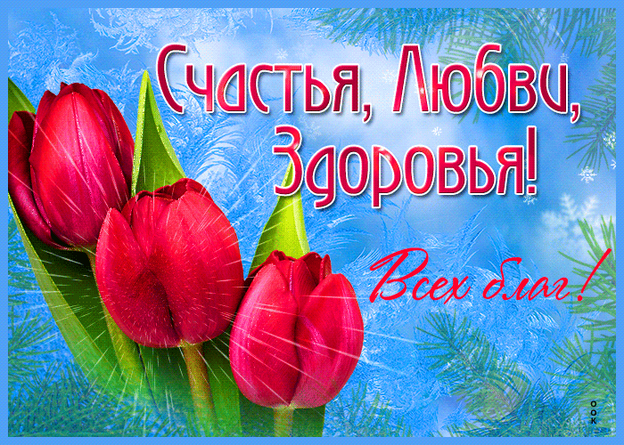 image_1590562489673.GIF