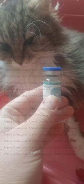 APXDMjHJd_E.jpg
