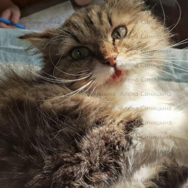 изображение_viber_2020-07-08_18-22-43.jpg