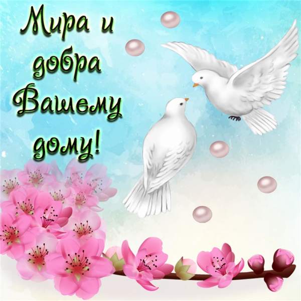 otkritka-s-pozhelaniem-mira-i-dobra.orig.jpg