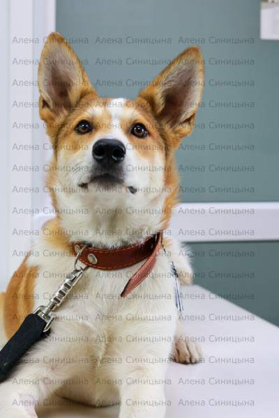 AA0GGgcvl5c.jpg