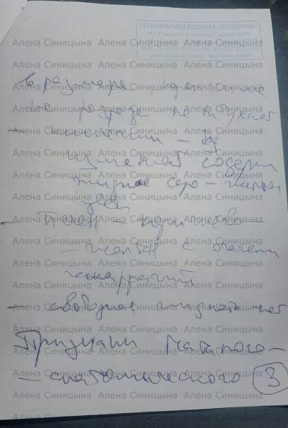 ZFgE00jQP34.jpg