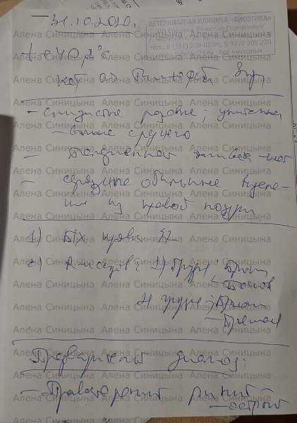 ZCt9Vw8krjU.jpg