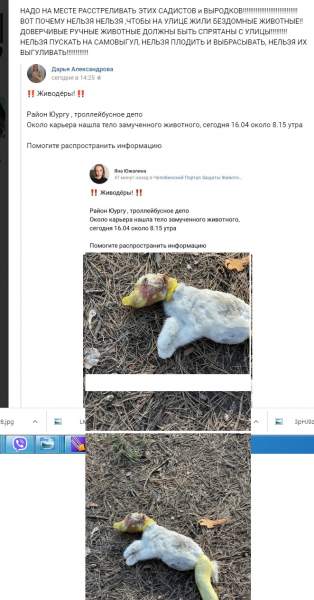 замученный.jpg