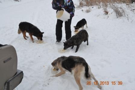 DSC_2914.JPG