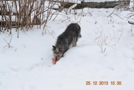 DSC_2913.JPG
