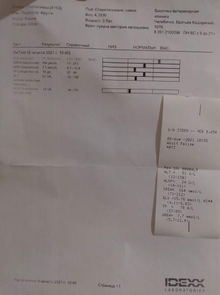 IMG_20210808_180410.jpg