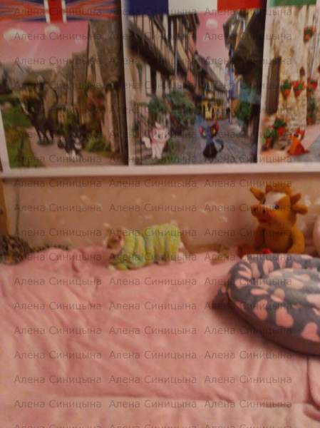 P_20210919_215244.jpg