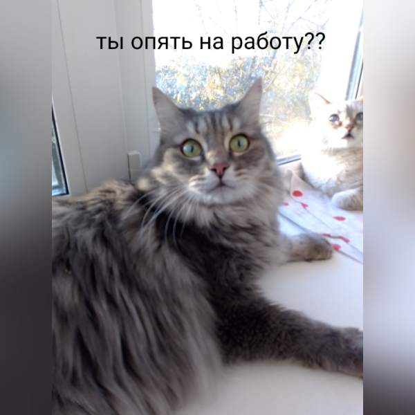 photocollage_2021101481721152.jpg