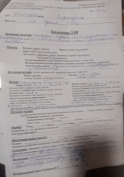 cV_e7hE3pZM.jpg