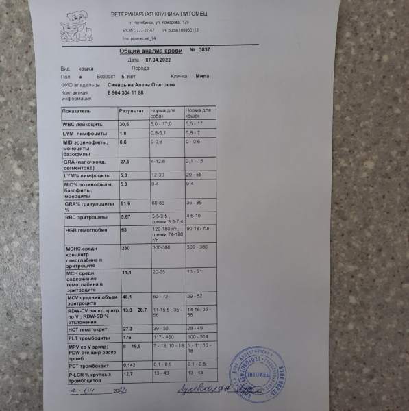 sn2hNis2p88.jpg