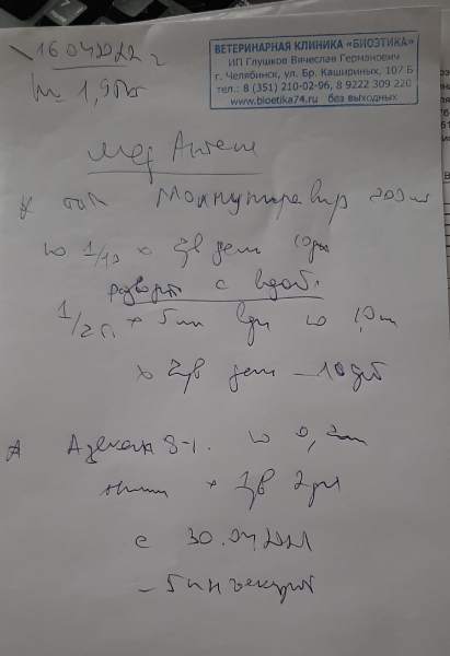 jj-UOOIGPVA.jpg