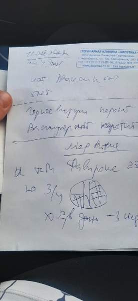 MxaUgyBze8Cce-0TpoEI0KiVHdliu--Vi8OzcflMBIN7-ZKSooO1KRUqeIETPlIoCbDEHsT332G4SSjaPMEsqkGH.jpg