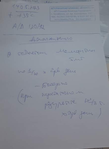 _vPS7OUVEeI.jpg