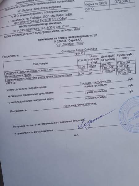 Изображение WhatsApp 2023-12-01 в 13.09.44_c42feb1b.jpg