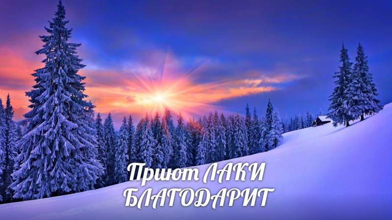 спасибо7.jpg