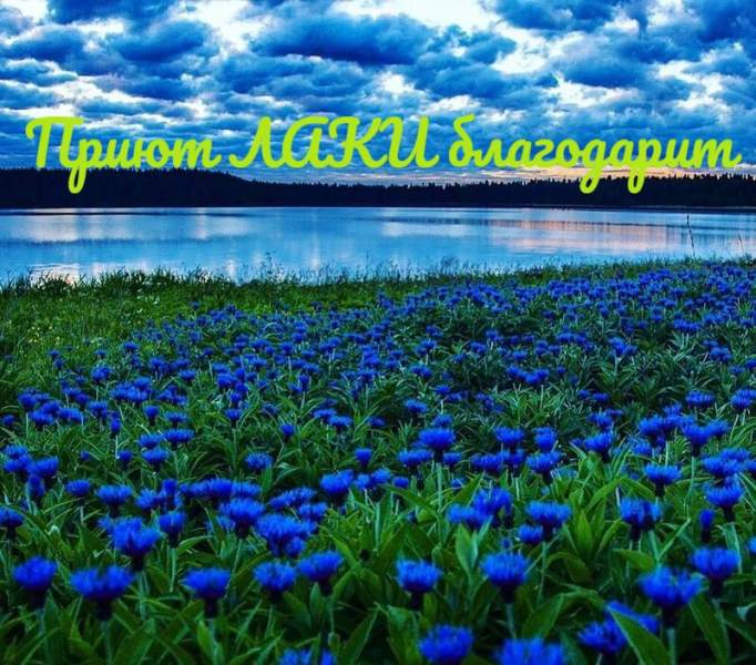спасибо8.jpg