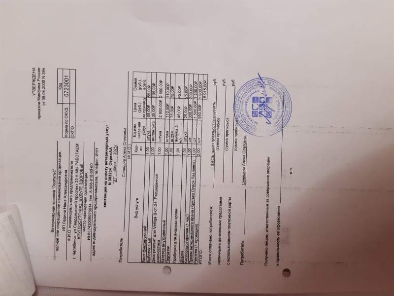 Изображение WhatsApp 2025-07-31 в 00.59.14_f8d2c43c.jpg