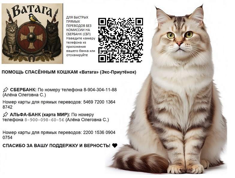 реквизиты-4.jpg